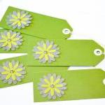 Gift Tags - 6 Olive Green &..